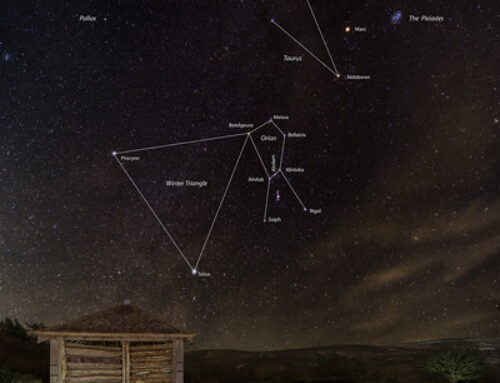 Stay at Triscombe Farm and Experience the Exmoor Dark Skies Festival 2026